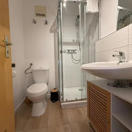 Designapartment Zwiesel Pool Sauna Aktivcard Balkon Bayerischer Wald Lejlighed Zwiesel